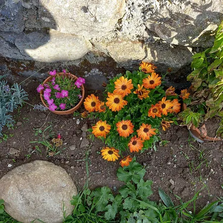 Boufavent 3* Salettes (Haute-Loire)